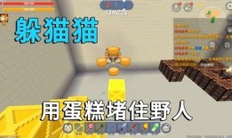 我的世界皮肤爆料最新,潮流元素与个性设计大揭秘